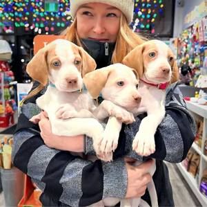 Meet your Posher, Sarah deline